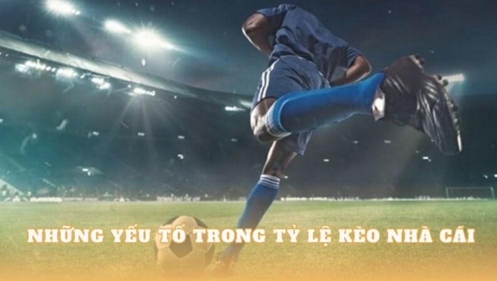 Những yếu tố quan trọng khi soi kèo nhà cái