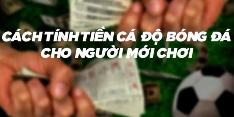 Các chiến lược đơn giản nhưng hiệu quả cho người mới